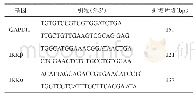 表1 内参GAPDH及各目的基因定量PCR引物序列