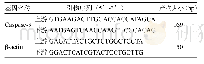 表1 引物序列：保肾通络方含药血清对高糖培养下足细胞p38通路及凋亡的作用研究