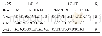 表1 TLR4、NF-κB、VEGF及β-actin引物序列