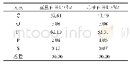 表1 反应后正极的元素组成