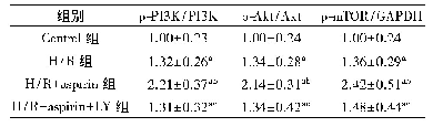 表3 各组H9c2心肌细胞中PI3K、p-PI3K、Akt、p-Akt、p-m TOR蛋白表达水平比较(±s,n=6)