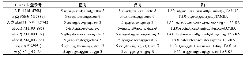 表1 引物和探针：厚朴酚对非小细胞肺癌获得性紫杉醇耐药细胞的影响研究