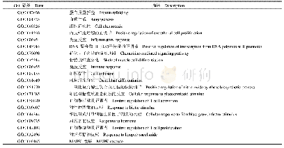 《表2 原位骨肉瘤与骨肉瘤肺转移后生物过程相关的GO富集分析》