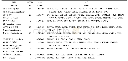 《表5 原位骨肉瘤与骨肉瘤转移后差异基因的KEGG通路富集分析》