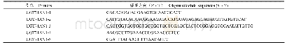 《表1 本研究中涉及到的PCR引物》