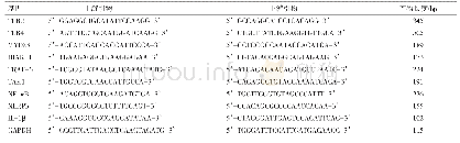 表1 PCR引物序列及产物长度