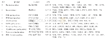 表1 KEGG信号通路富集分析结果