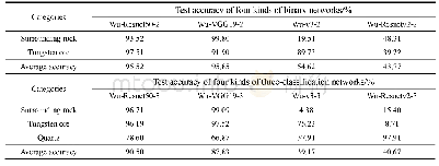 表2 二分类与三分类识别网络测试准确率