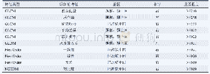 《表1 区分正常和MDD特征重要程度前10位的特征》