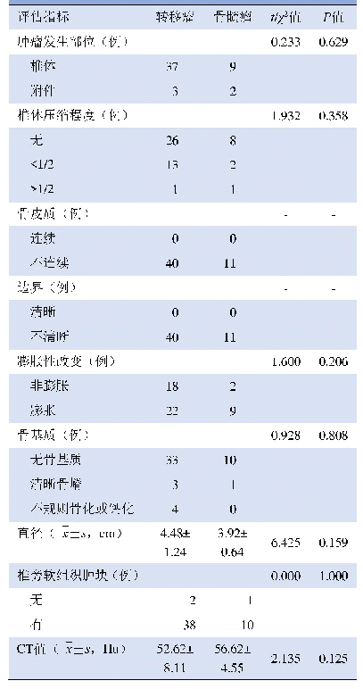 表1 寰枢椎转移瘤及骨髓瘤患者CT评估指标比较