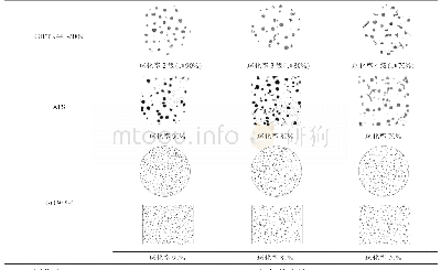 表2 不同标准球墨铸铁球化率评级图对比