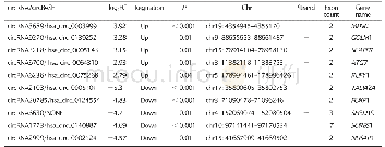 表1 差异表达最显著的10个circRNA