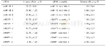 《表2 sieIF-4E、siBCAT1、siWWP1及其阴性对照siRNA-scramble的沉默效率》
