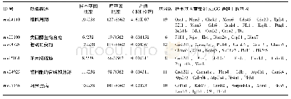 表3 基因集M、N的KEGG通路富集结果 (P<0.05, BH校正)